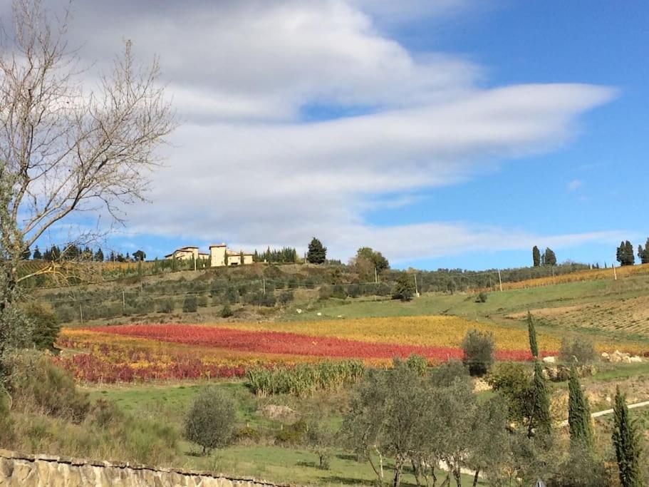 Faetole Typical Tuscan Country House Near Florence Capannuccia Dış mekan fotoğraf